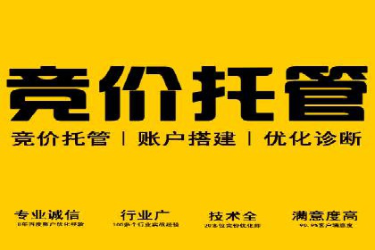 百度推广的关键词策略——成功案例解读